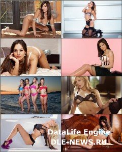 Cool Girls for your desktop 306 Cool Girls for your desktop 306